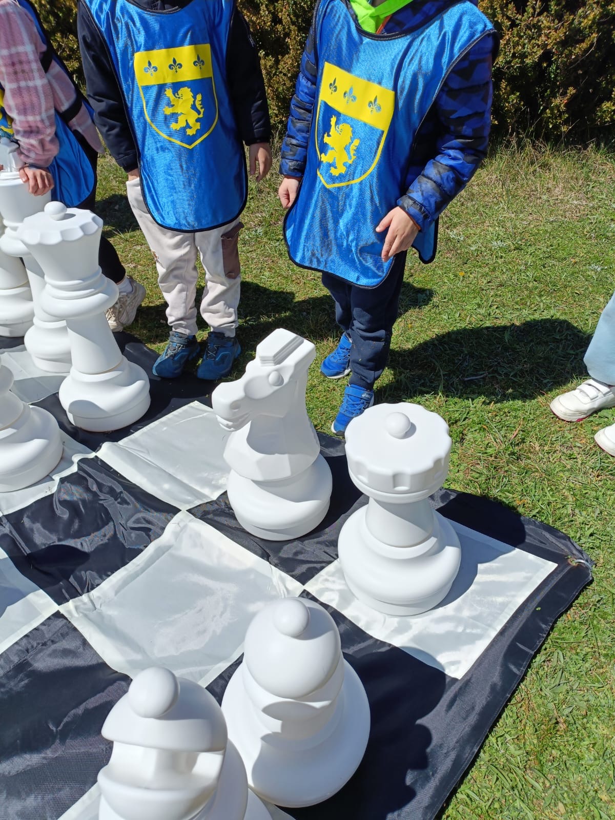 Actividades Escolares para Colegios en Aragon